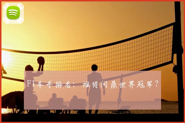 F1车手排名：谁将问鼎世界冠军？